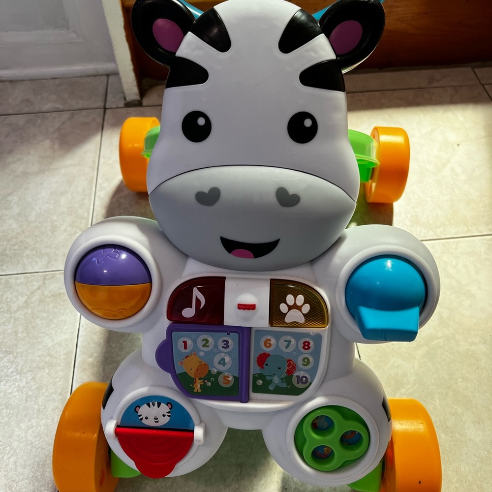 Colorful Zebra Activity Walker